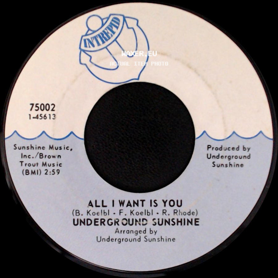 Underground Sunshine - Birthday / All I Want Is You side B