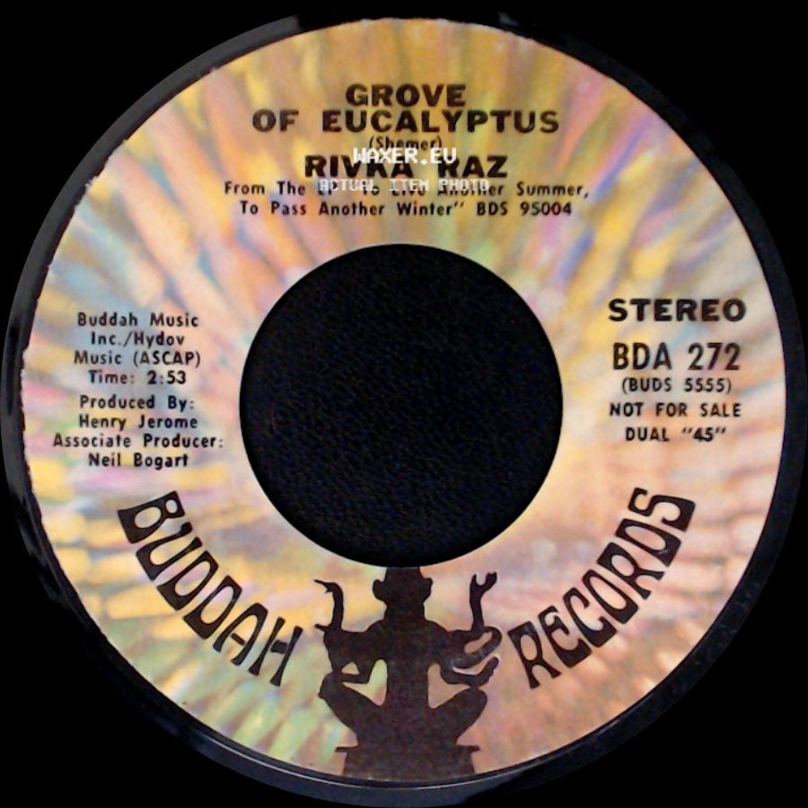 Rivka Raz - When My Man Returns / Grove Of Eucalyptus side B