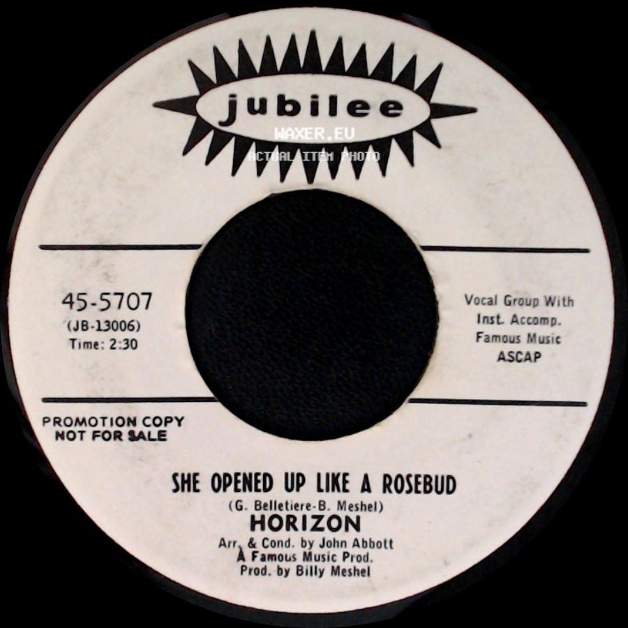 Horizon - She Opened Up Like A Rosebud / She Opened Up Like A Rosebud side A