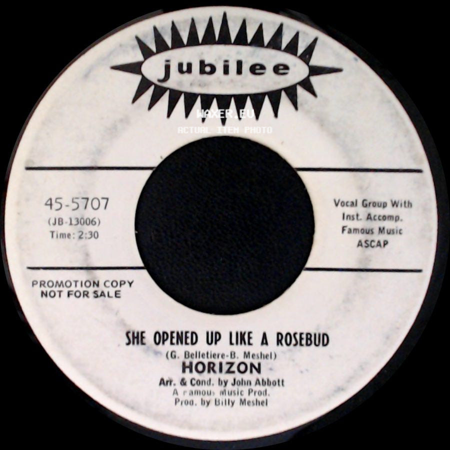 Horizon - She Opened Up Like A Rosebud / She Opened Up Like A Rosebud side B