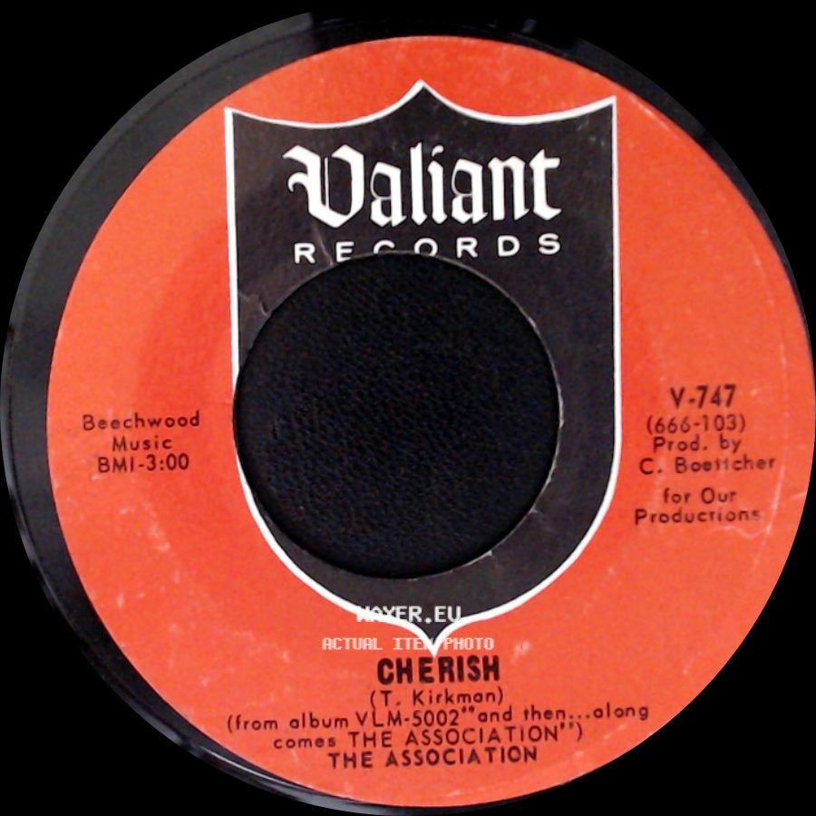 The Association - Don't Blame It On Me / Cherish side B