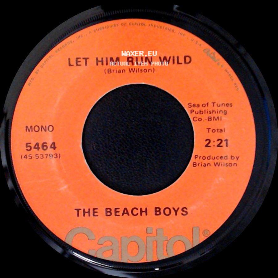 The Beach Boys - Let Him Run Wild / California Girls side A