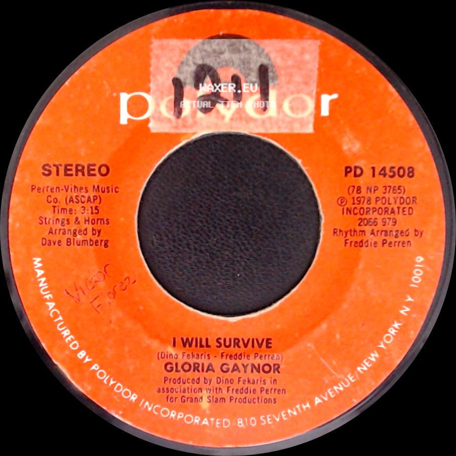 Gloria Gaynor - Substitute / I Will Survive side B