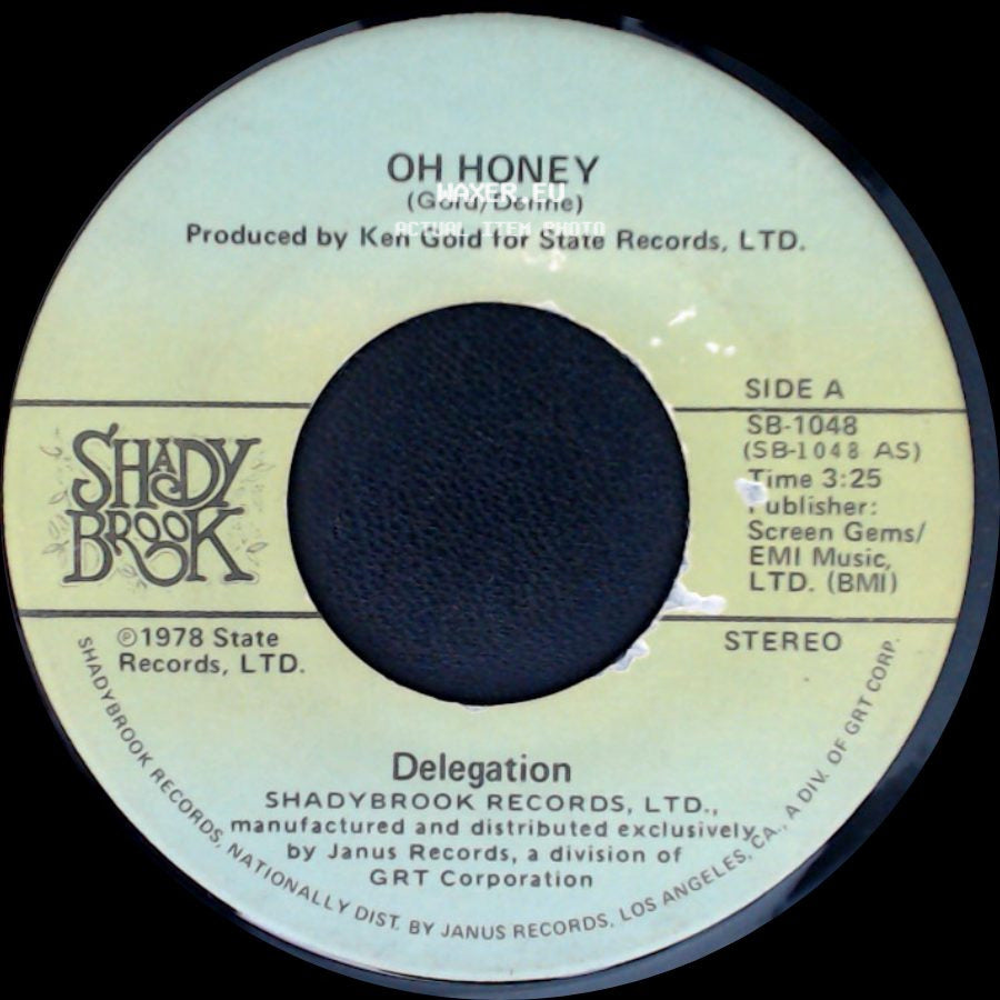 Delegation - Oh Honey / Let Me Take You To The Sun side A