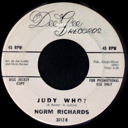 Norm Richards - Please Don't Make Me Blue / Judy Who? side B