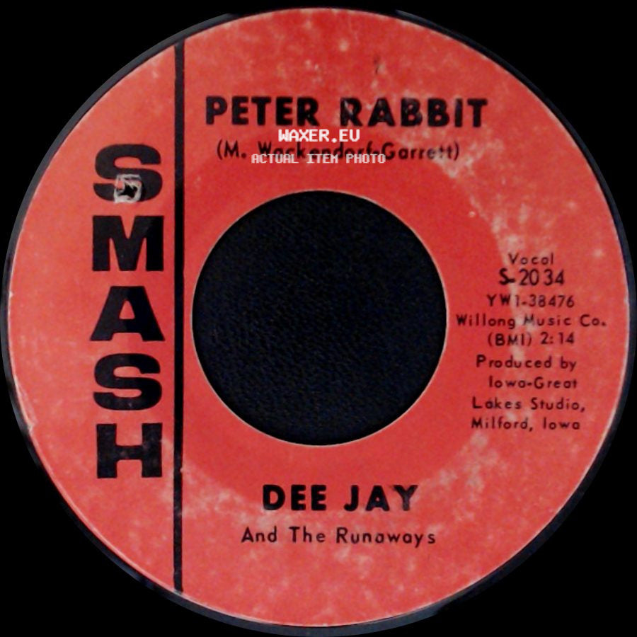 Dee Jay And The Runaways - Peter Rabbit / Are You Ready side A