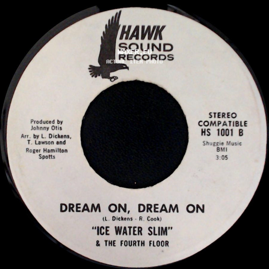 "Ice Water Slim" & The Fourth Floor - I Don't Understand It / Dream On, Dream On side B