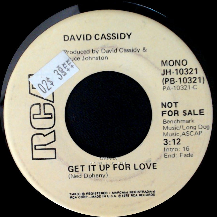 David Cassidy - Get It Up For Love / Get It Up For Love side B