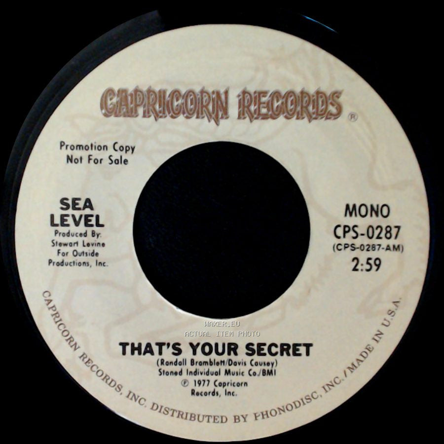 Sea Level - That's Your Secret / That's Your Secret side A