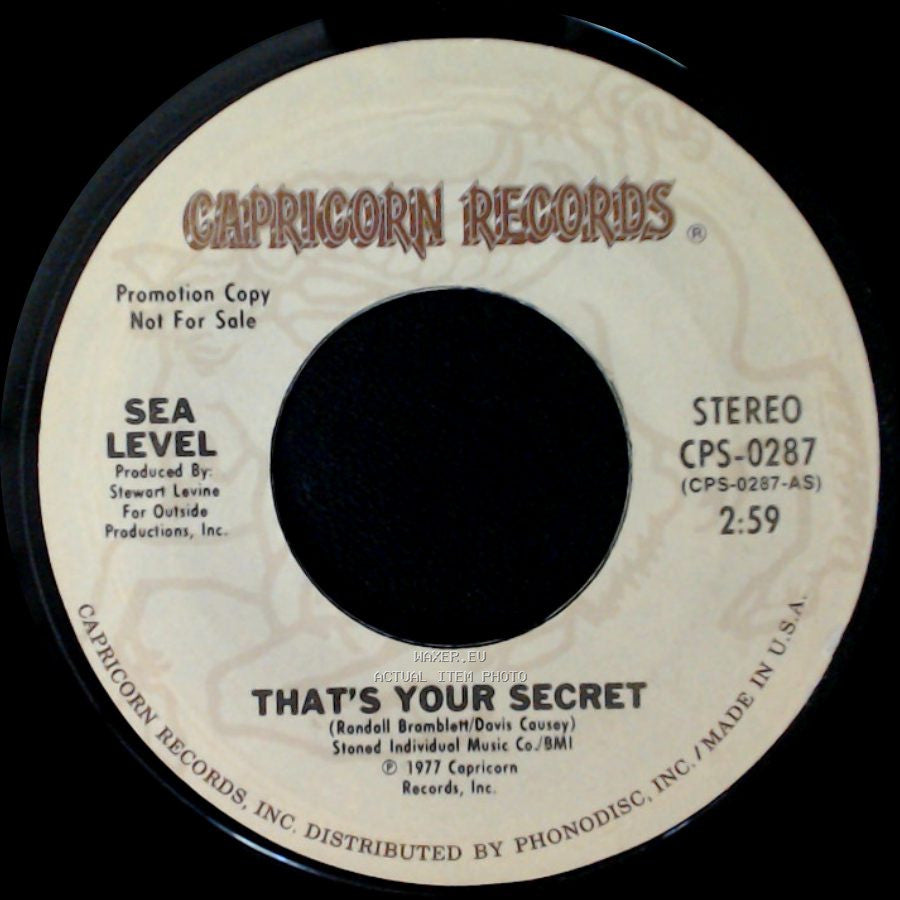 Sea Level - That's Your Secret / That's Your Secret side B