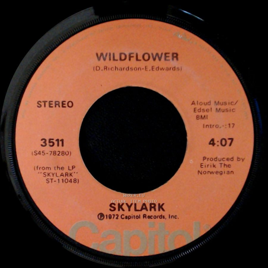 Skylark - Wildflower / The Writing's On The Wall side A