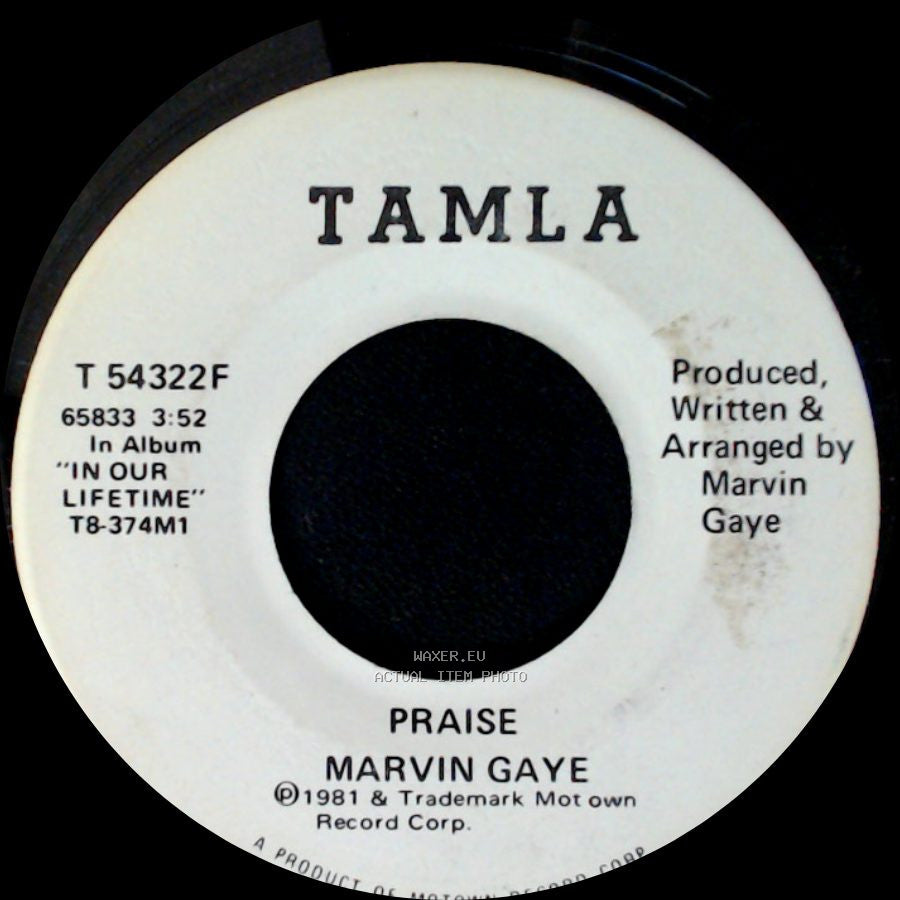 Marvin Gaye - Praise / Praise side B