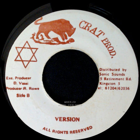 Chuck Turner - Special Lady / Version side B