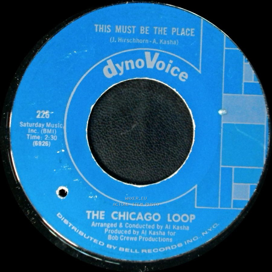 The Chicago Loop - This Must Be The Place / (When She Wants Good Lovin') My Baby Comes To Me side A
