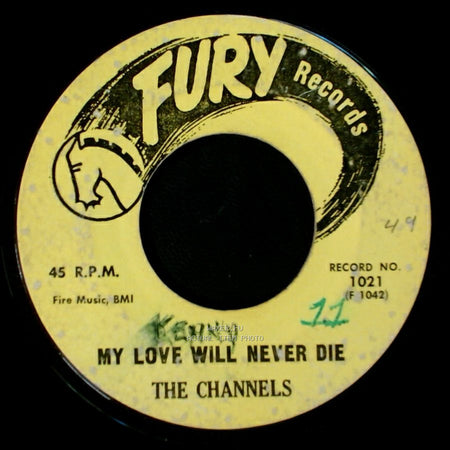 The Channels - Bye Bye Baby / My Love Will Never Die side B