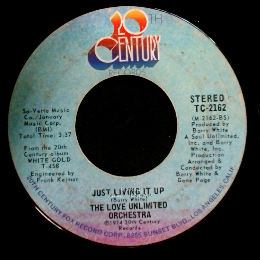 The Love Unlimited Orchestra - Satin Soul / Just Living It Up side B