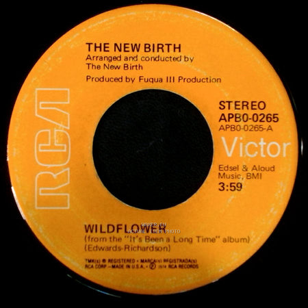 The New Birth - Got To Get A Knutt / Wildflower side B