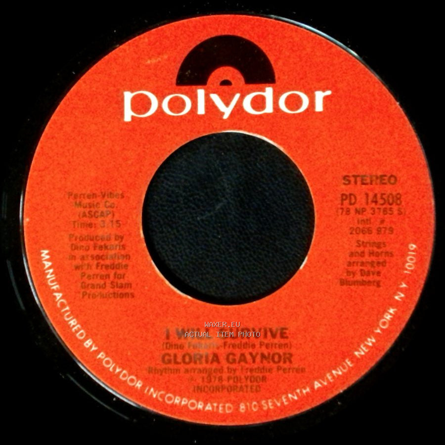 Gloria Gaynor - Substitute / I Will Survive side B