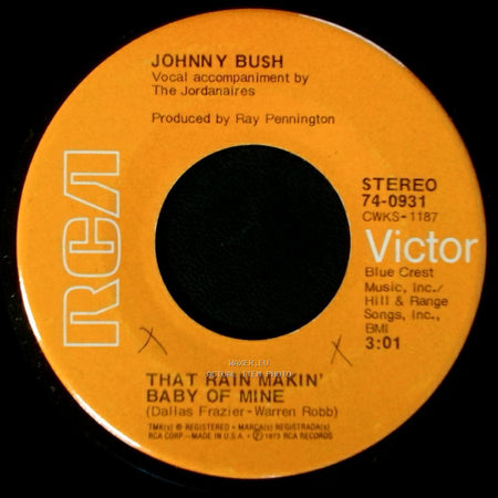 Johnny Bush - Here Comes The World Again / That Rain Makin' Baby Of Mine side B