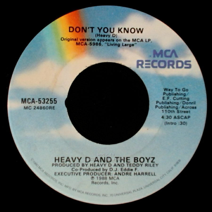 Heavy D And The Boyz - Moneyearnin' Mount Vernon / Don't You Know side B