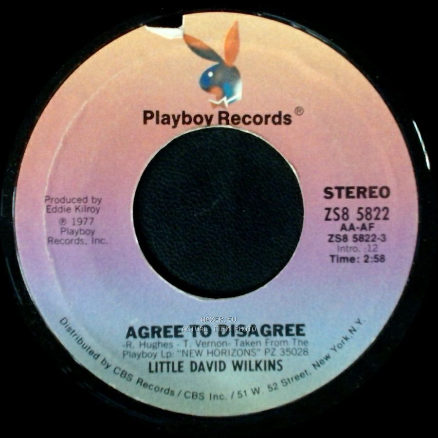Little David Wilkins - Her Old Stomping Ground / Agree To Disagree side B