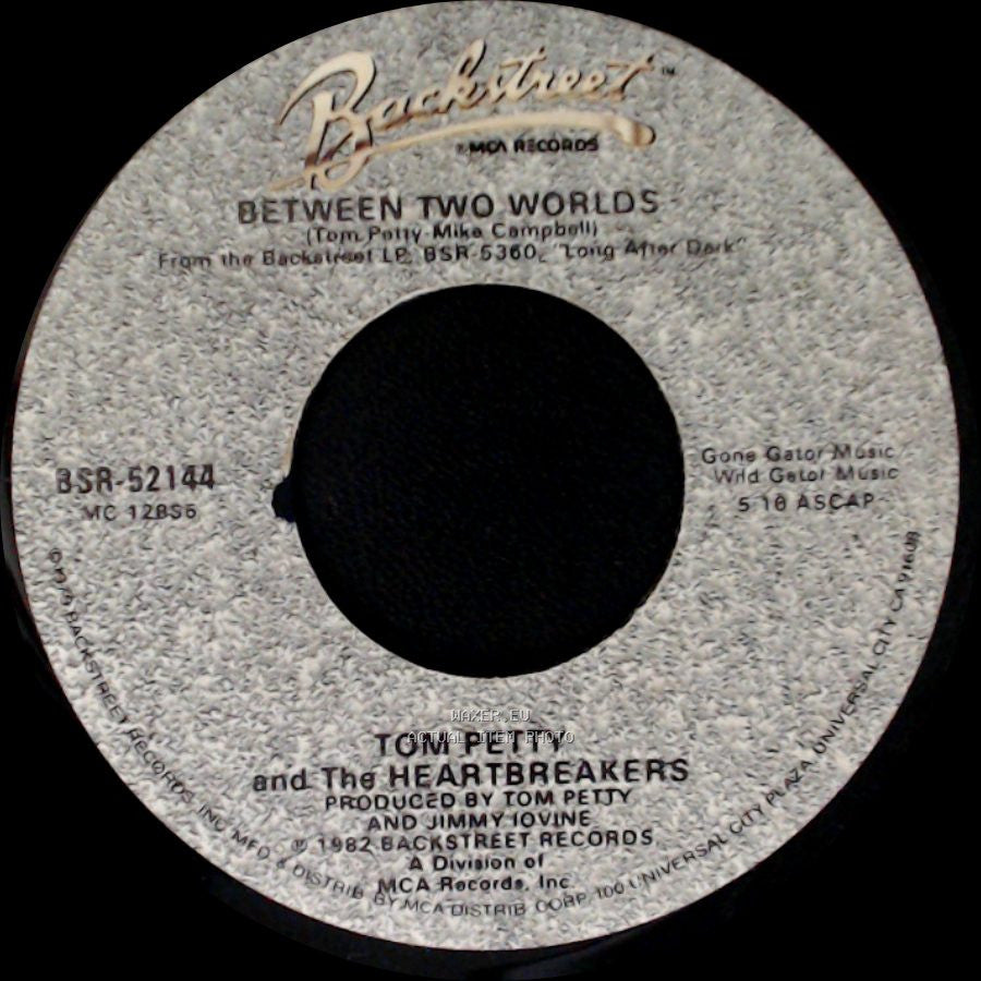 Tom Petty And The Heartbreakers - Between Two Worlds / You Got Lucky side A