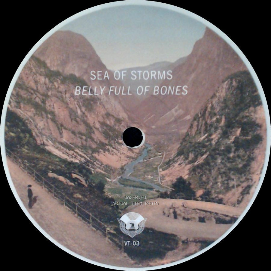 Unknown Artist - Sea Of Storms Exit Strategy / Sea Of Storms Belly Full Of Bones side B