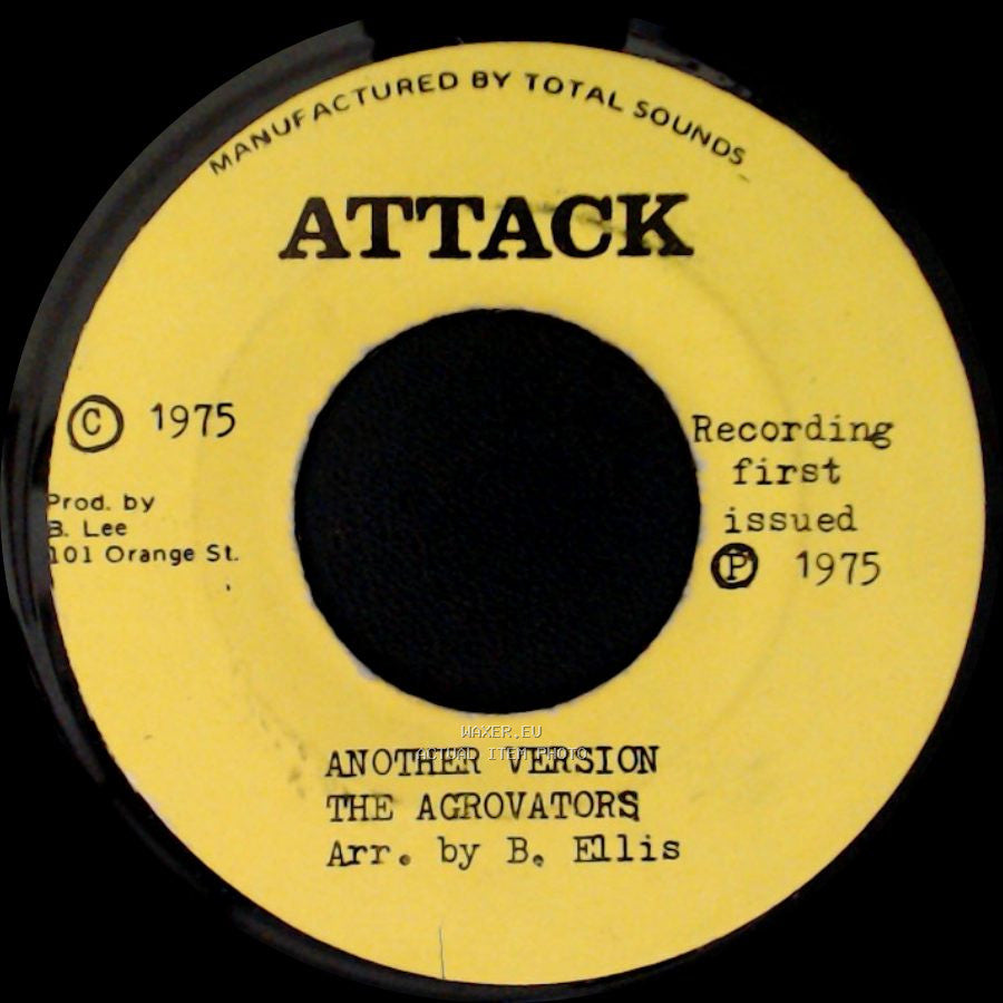 The Agrovators / Jackie Mittoo - Another Version / This Love Festival side A