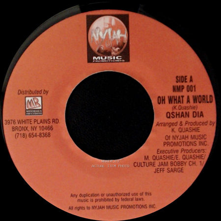 Qshan Dia - Oh What A World / Unknown Title B side A