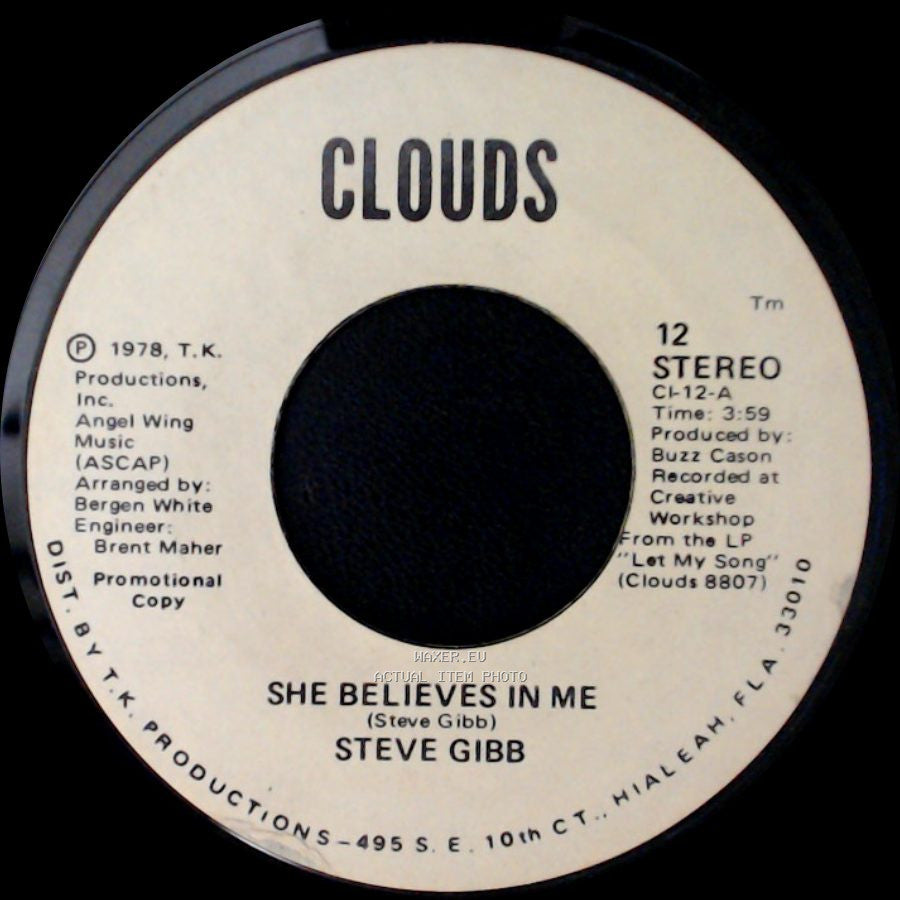 Steve Gibb - She Believes In Me / She Believes In Me side A