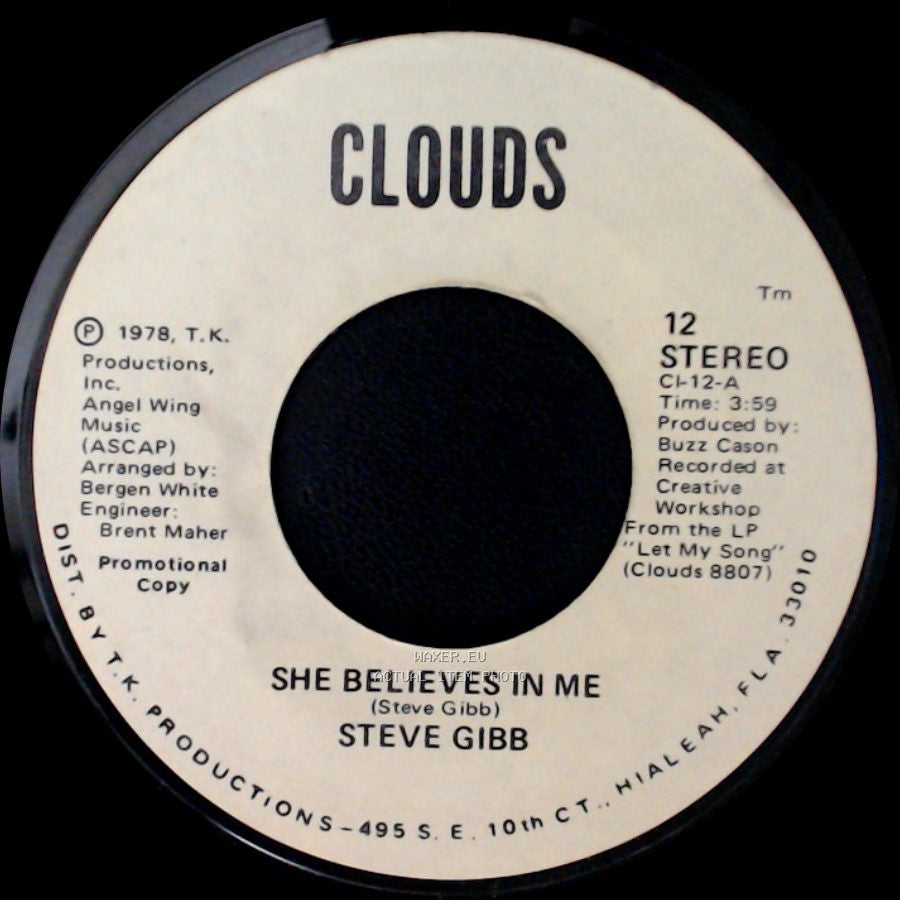 Steve Gibb - She Believes In Me / She Believes In Me side B