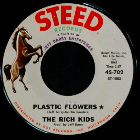 The Rich Kids - I Got To Find Me A Woman / Plastic Flowers side B
