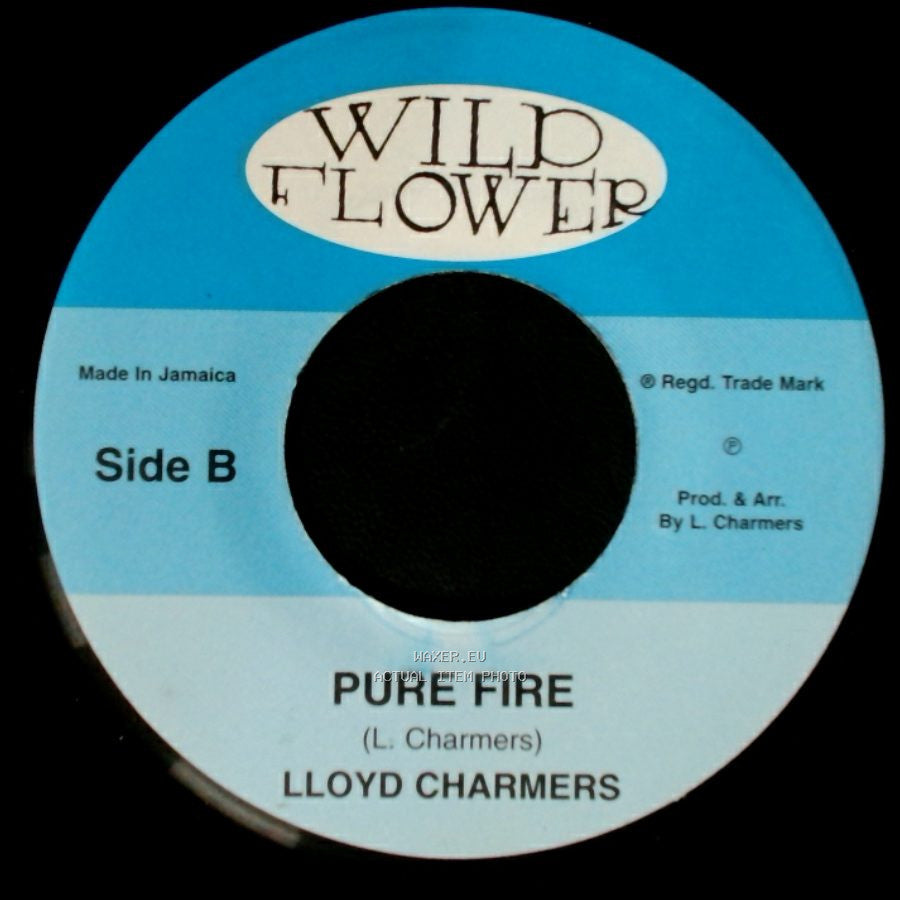 Lloyd Charmers - Judgement / Pure Fire side B