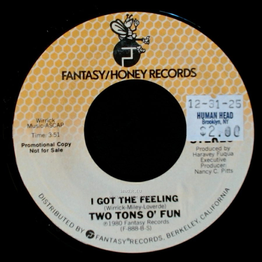 Two Tons O' Fun - Just Us / I Got The Feeling side B