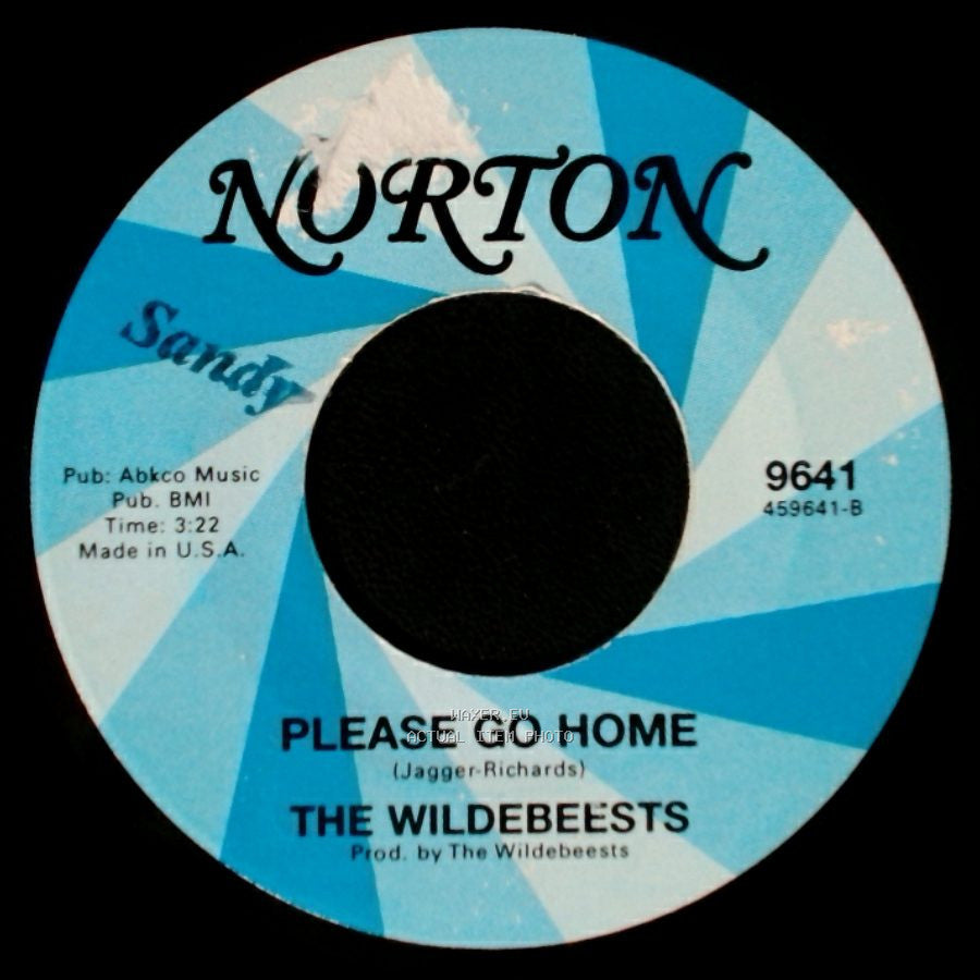 The Wildebeests / The Knaughty Knights - Please Go Home / Connection side A