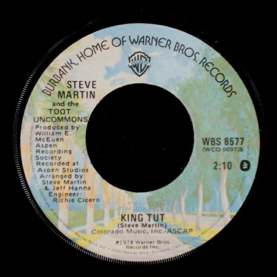 Steve Martin And The Toot Uncommons / Steve Martin - King Tut / Sally Goodin / Hoedown At Alice's side A