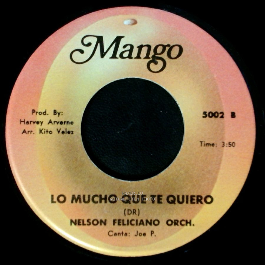Nelson Feliciano Orch. - Roberto Clemente / Lo Mucho Que Te Quiero side B