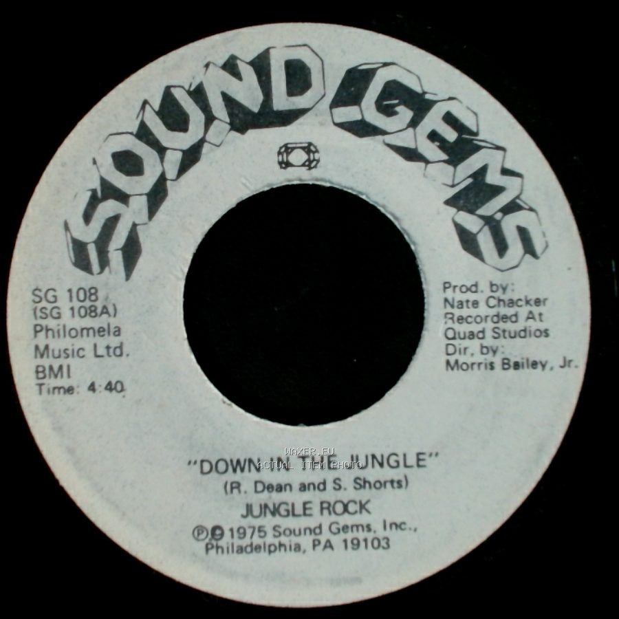 Jungle Rock - Down In The Jungle (Instrumental Version) / Down In The Jungle side B
