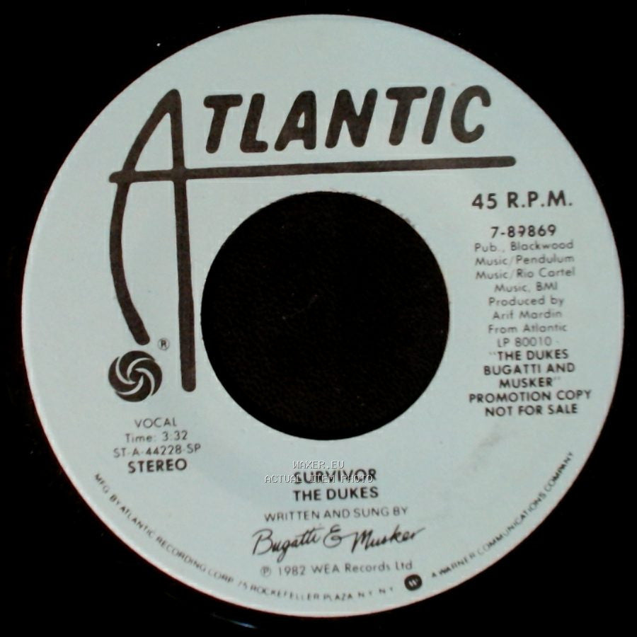 The Dukes - Survivor / Survivor side A