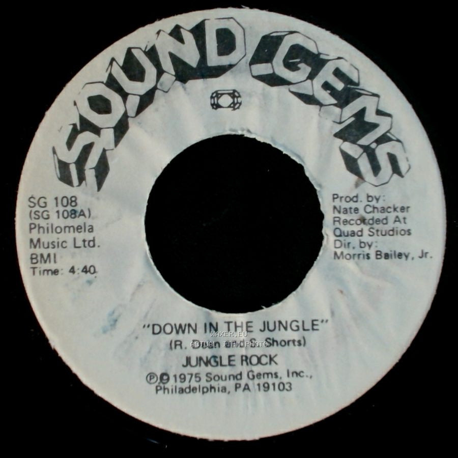 Jungle Rock - Down In The Jungle / Down In The Jungle (Instrumental Version) side A