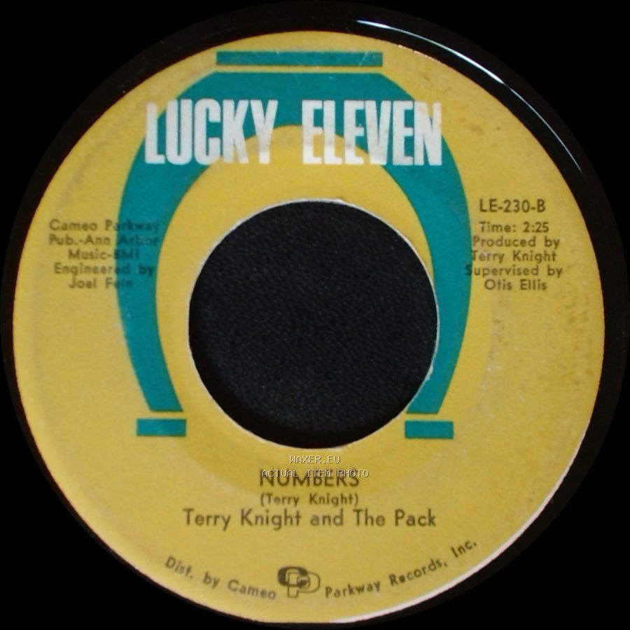 Terry Knight And The Pack - Numbers / I (Who Have Nothing) side A