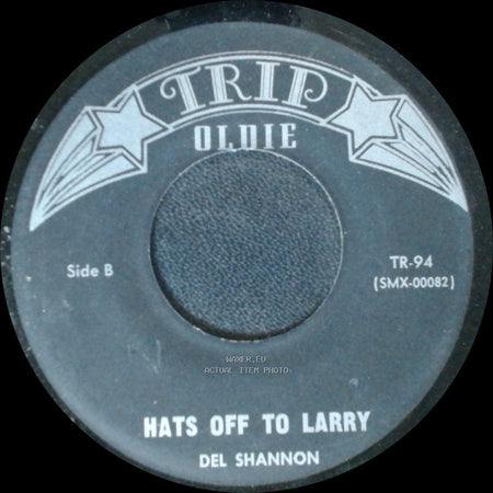 Del Shannon - Runaway / Hats Off To Larry side B