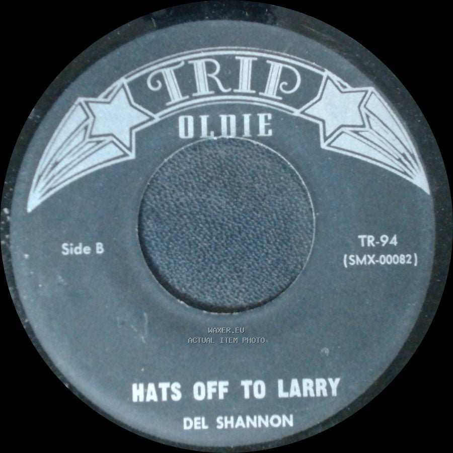 Del Shannon - Runaway / Hats Off To Larry side B