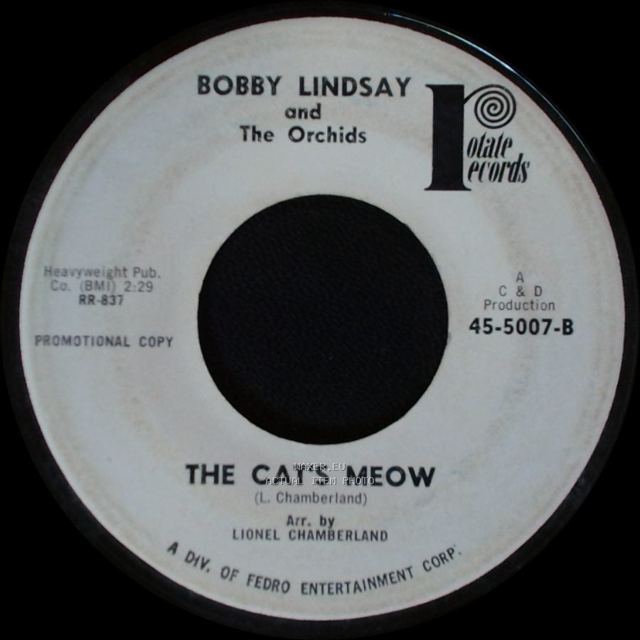 Bobby Lindsay And The Orchids - Freedom's Band / The Cat's Meow side B