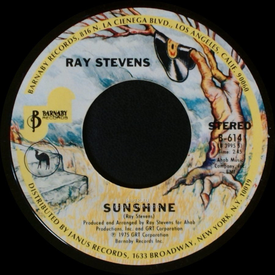 Ray Stevens - Misty / Sunshine side B