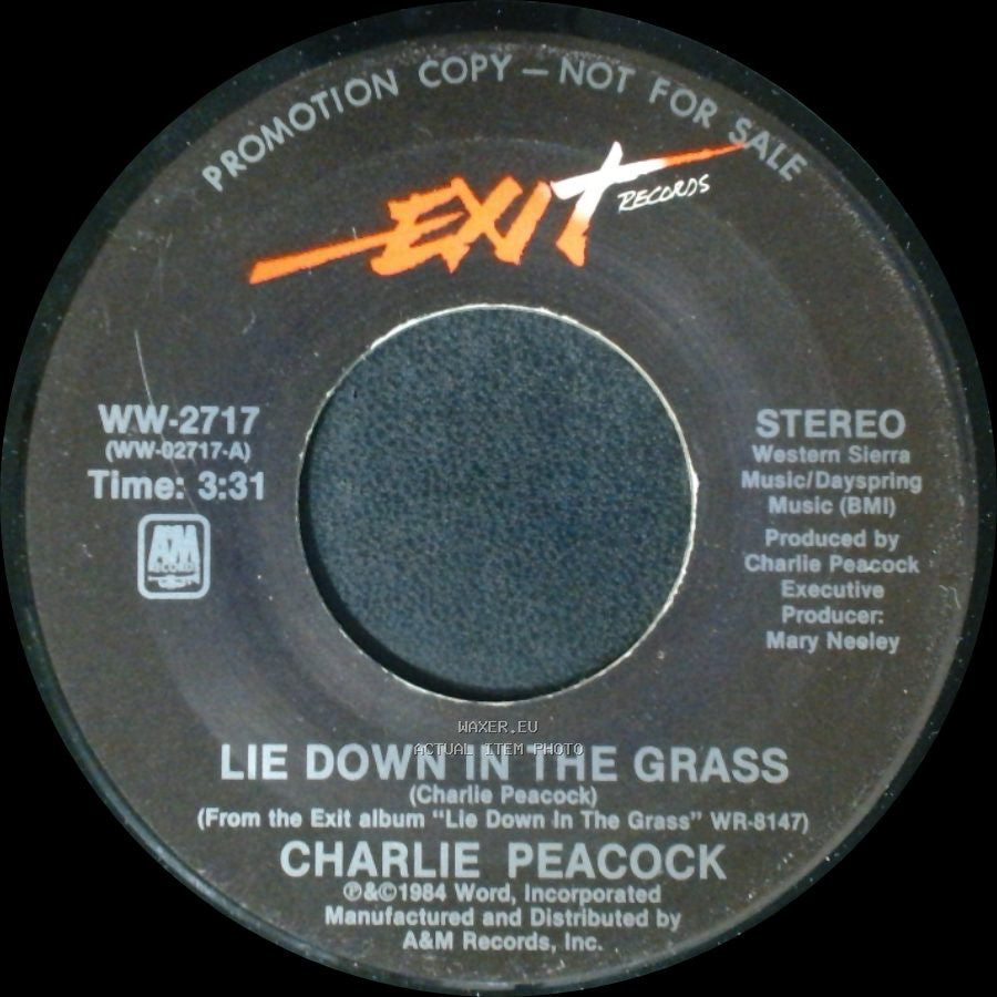 Charlie Peacock - Lie Down In The Grass / Lie Down In The Grass side A