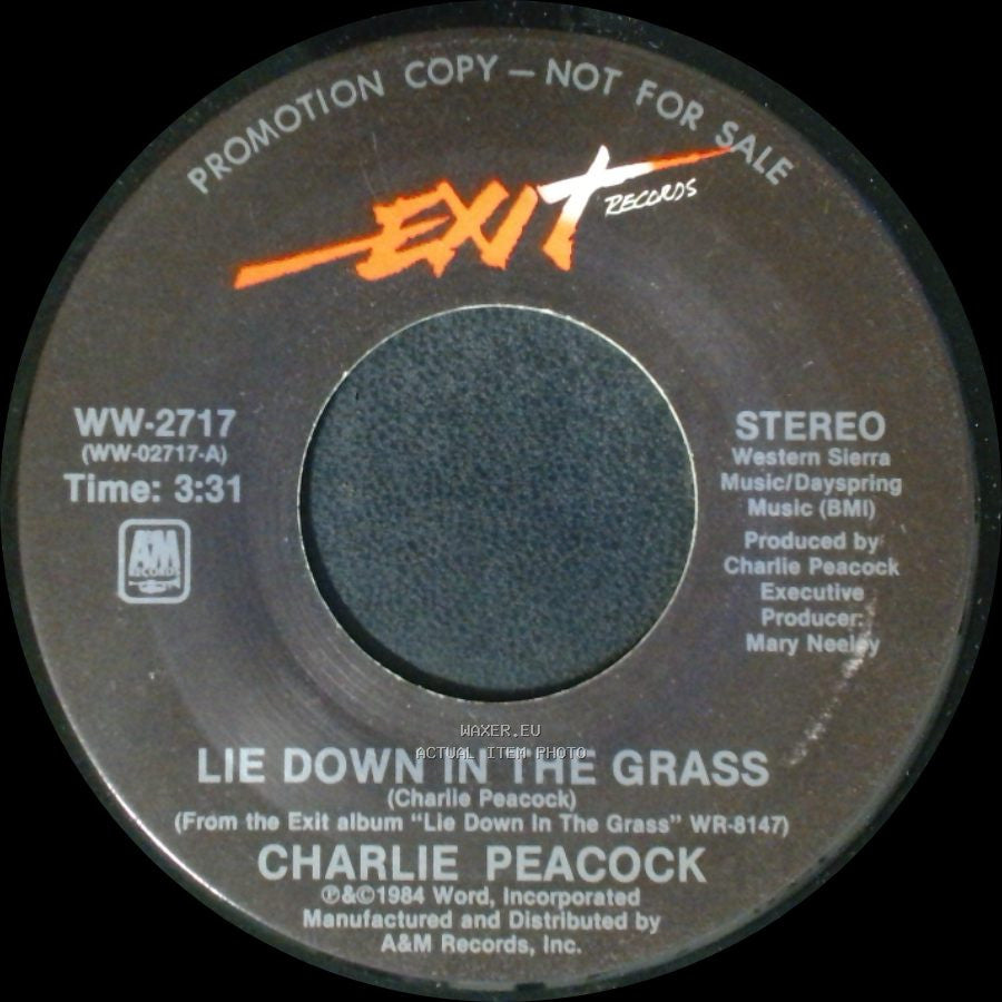 Charlie Peacock - Lie Down In The Grass / Lie Down In The Grass side B