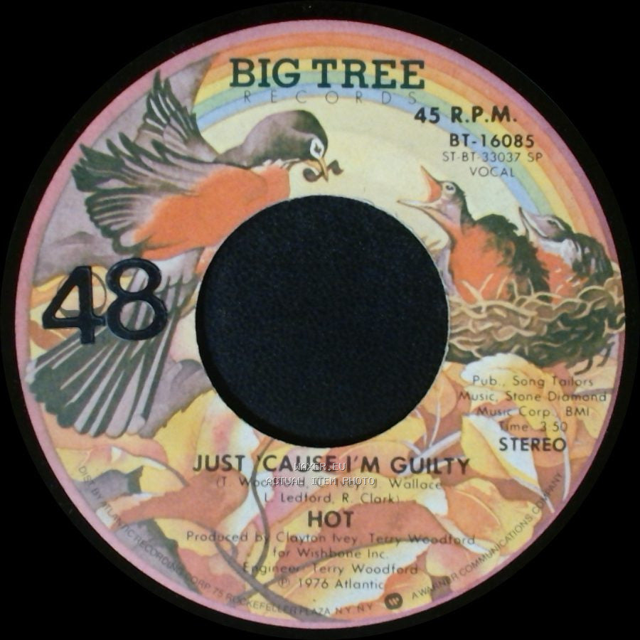 Hot - Just Cause I'm Guilty / Angel In Your Arms side A
