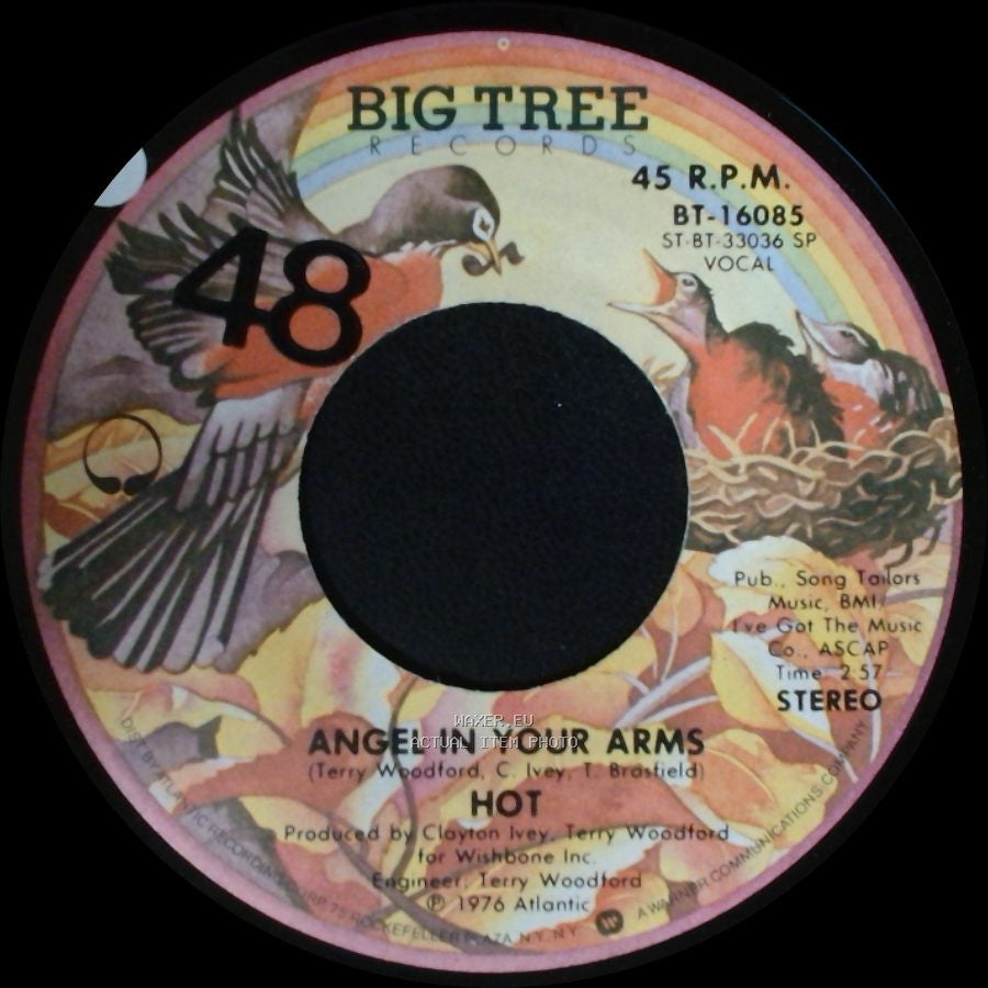 Hot - Just Cause I'm Guilty / Angel In Your Arms side B
