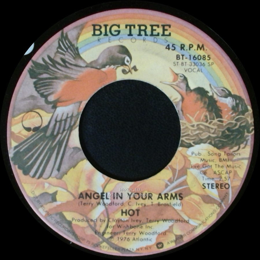 Hot - Just Cause I'm Guilty / Angel In Your Arms side B